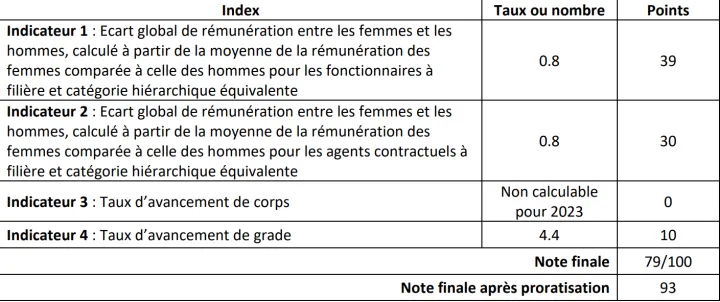 Indicateurs égalité professionnelle